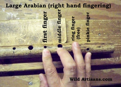 Arabian right fingering