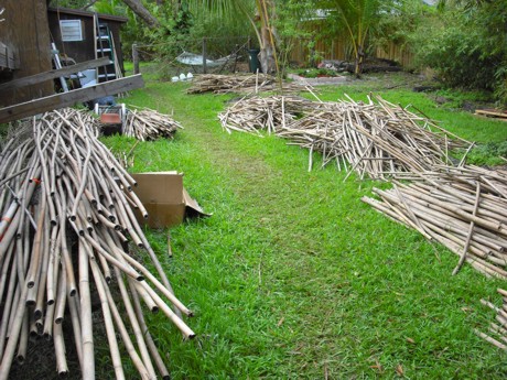 Cutting bamboo
