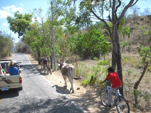 Camino a Uniles 