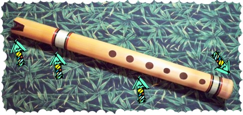 Andean Quena